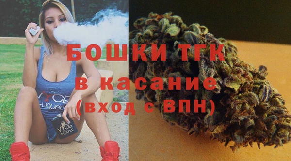 индика Абинск