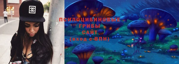 индика Абинск