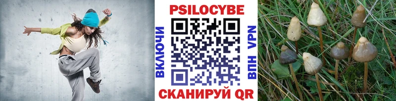 где купить наркоту  Ивантеевка  Псилоцибиновые грибы Psilocybe 